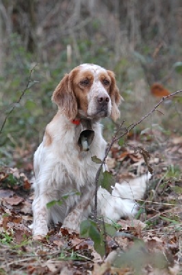 du Parc des Chaumes - Concours de Montagne 2012 (Suisse)