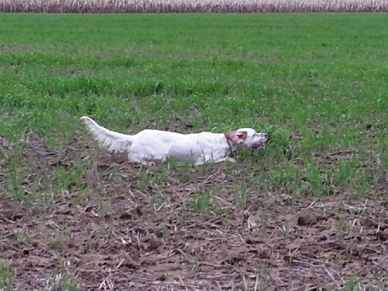TR. Dune du Parc des Chaumes